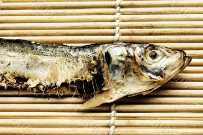 Closeup of dried fish