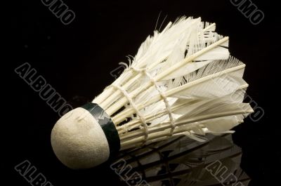 Shuttlecock