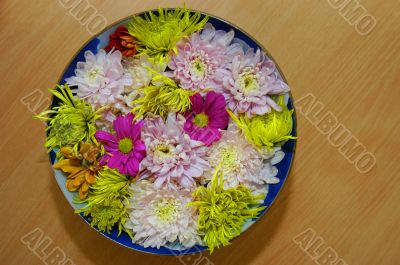 Flowers in bowl