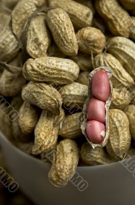 Peanuts