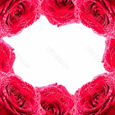 Framework from roses