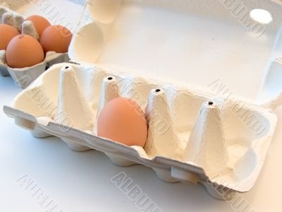 eggs