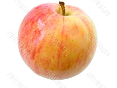 Red apple on white