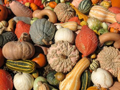 Harvest