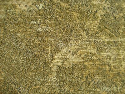 grain wood