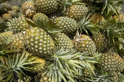 Pineapple