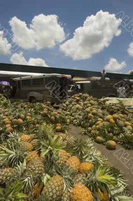 Pineapple