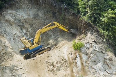 Forest Destruction