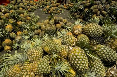 Pineapple