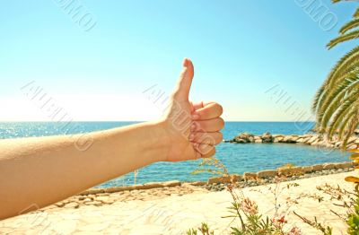 Excellent vacations