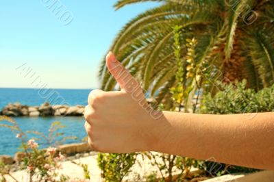 Excellent vacations