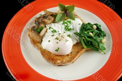 Poached Egg Breakfast 1