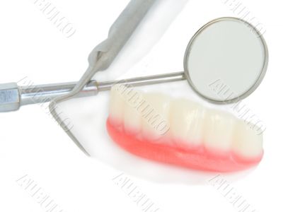 Teeth