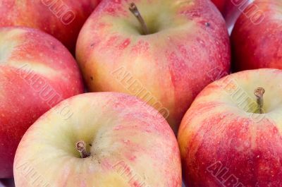 Close-up on fresh red apples