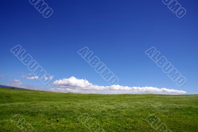Background of sky and grass