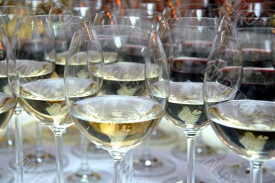 champagne glasses filled with alcohol