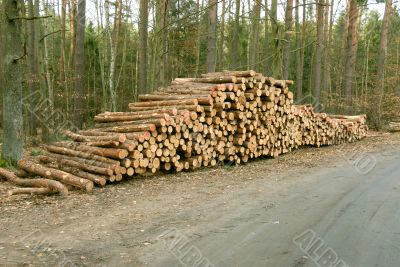 pile of wood