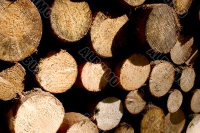 Wood piles