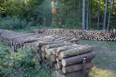 Wood piles