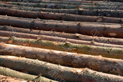 Wood piles