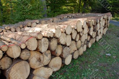 Wood piles