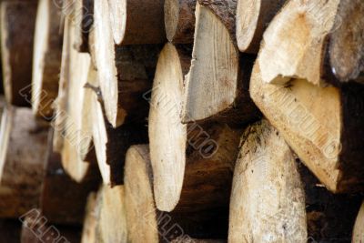 wood piles