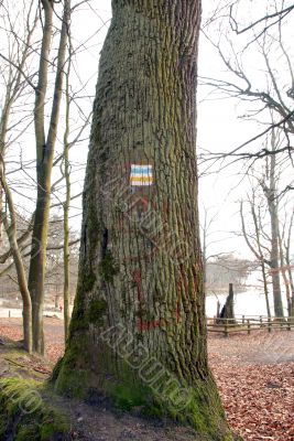 trail sign