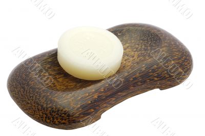 Soap in soapdish