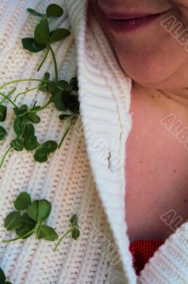 Clover for St. Patrick`s Day
