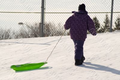 Tobogganing