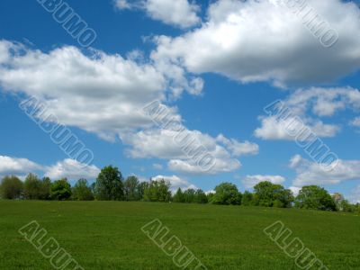 Meadow