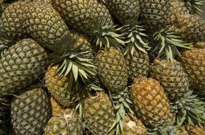 Pineapple
