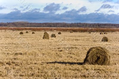 Country with hayricks