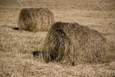 two hayricks on the country
