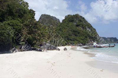 tropical beach