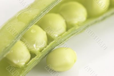 Green Pea