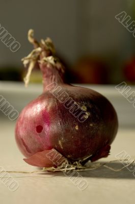 Onion