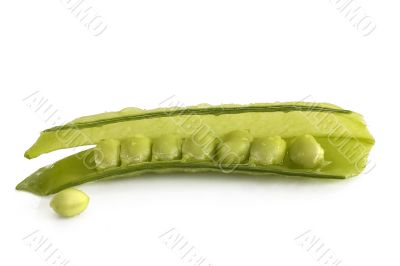 Green Pea