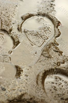 Puddle