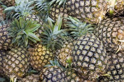 Pineapple