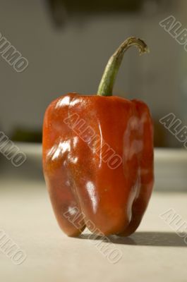 Red Bell Pepper