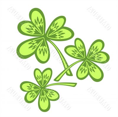 ornate clover