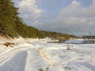 Pines road snow sky