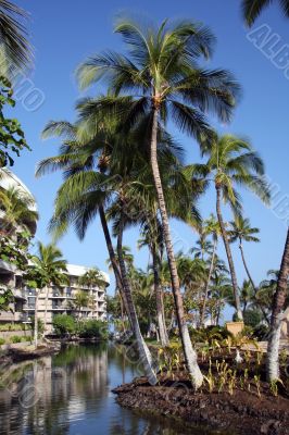 Tropical resort