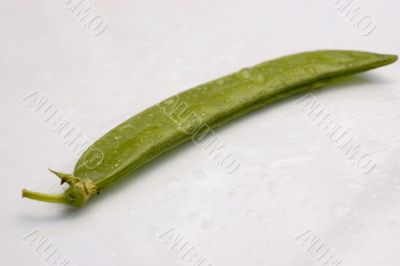 Green Pea