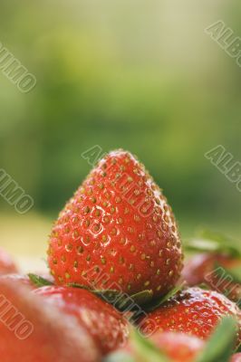 Strawberry