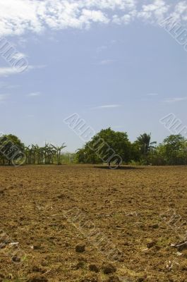 Newly tilled soil