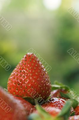 Strawberry