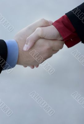 Business Handshake