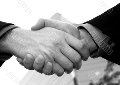 business handshake